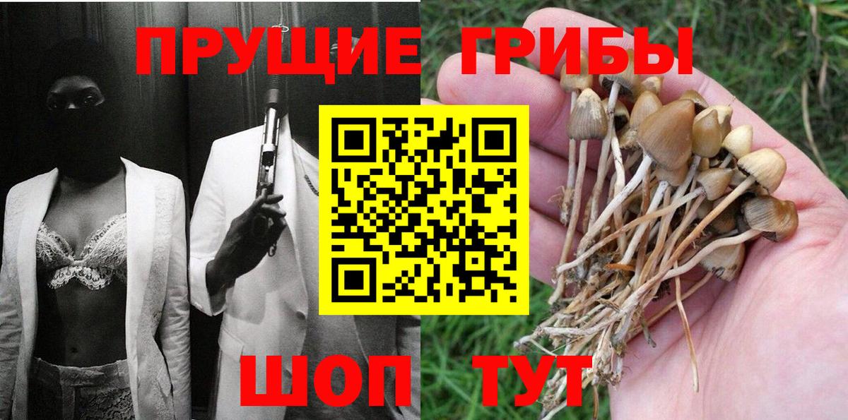 Псилоцибиновые грибы ЛСД Гулькевичи